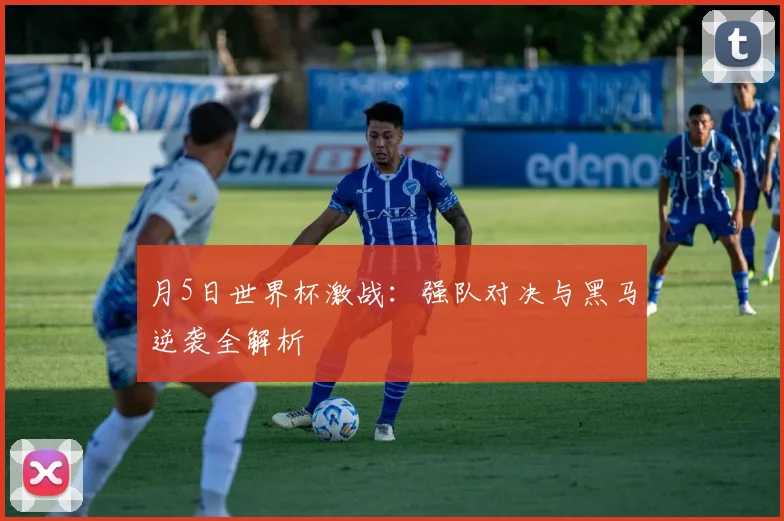 月5日世界杯激战：强队对决与黑马逆袭全解析
