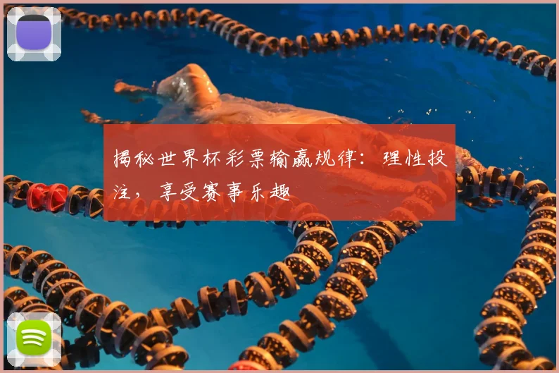 揭秘世界杯彩票输赢规律:理性投注,享受赛事乐趣