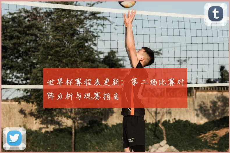 世界杯赛程表更新：第二场比赛对阵分析与观赛指南